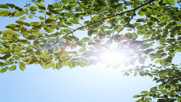 未経験でも大丈夫！介護職は若いうちから成長できる｜研修・資格支援の選び方