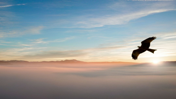 介護職の転職で失敗しない！不安を解消する5つのチェックポイント